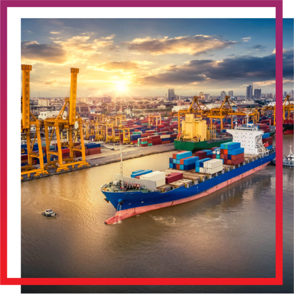 Essex MSc Supply Chain Management and Global Logistics JAIN Center for Global Studies